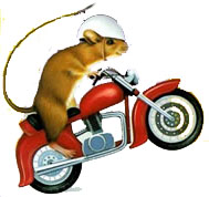 Illustration for article titled The Mouse and the Motorcycle